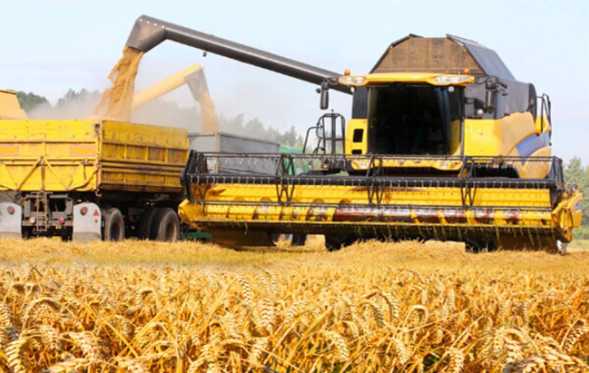 無線監視システム